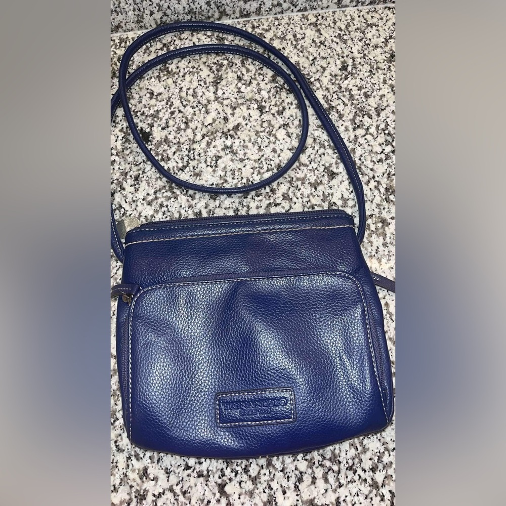 Tignanello Blue Leather Purse